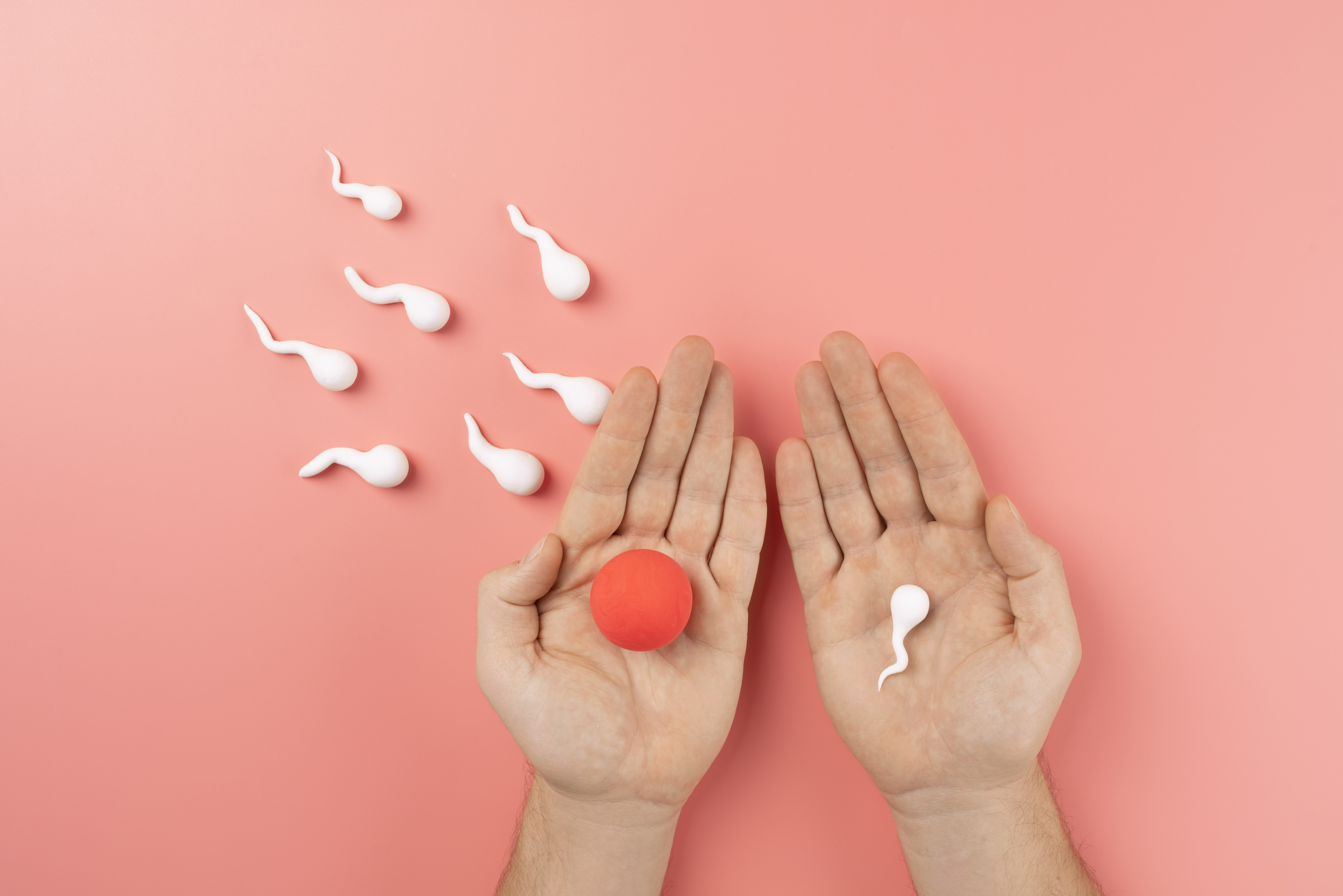 Infertility Evaluation